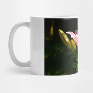 Pink Scented Lily under the apple tree. Mug